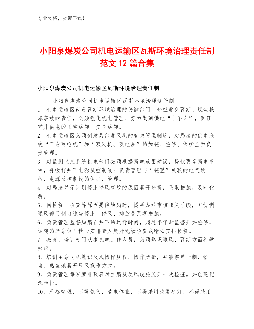 小阳泉煤炭公司机电运输区瓦斯环境治理责任制范文12篇合集