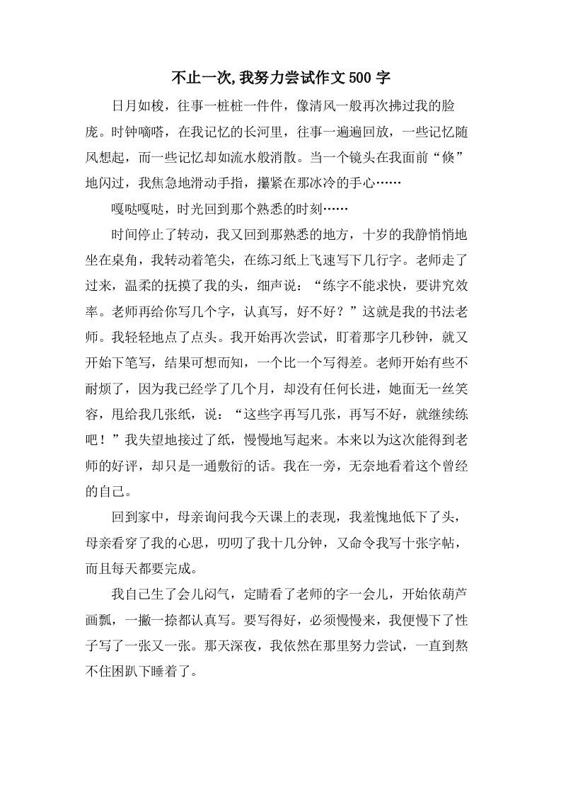 不止一次,我努力尝试作文500字