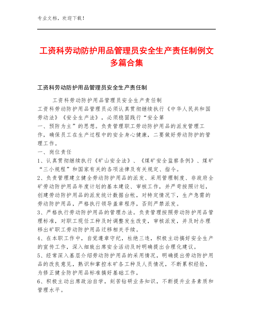 工资科劳动防护用品管理员安全生产责任制例文多篇合集