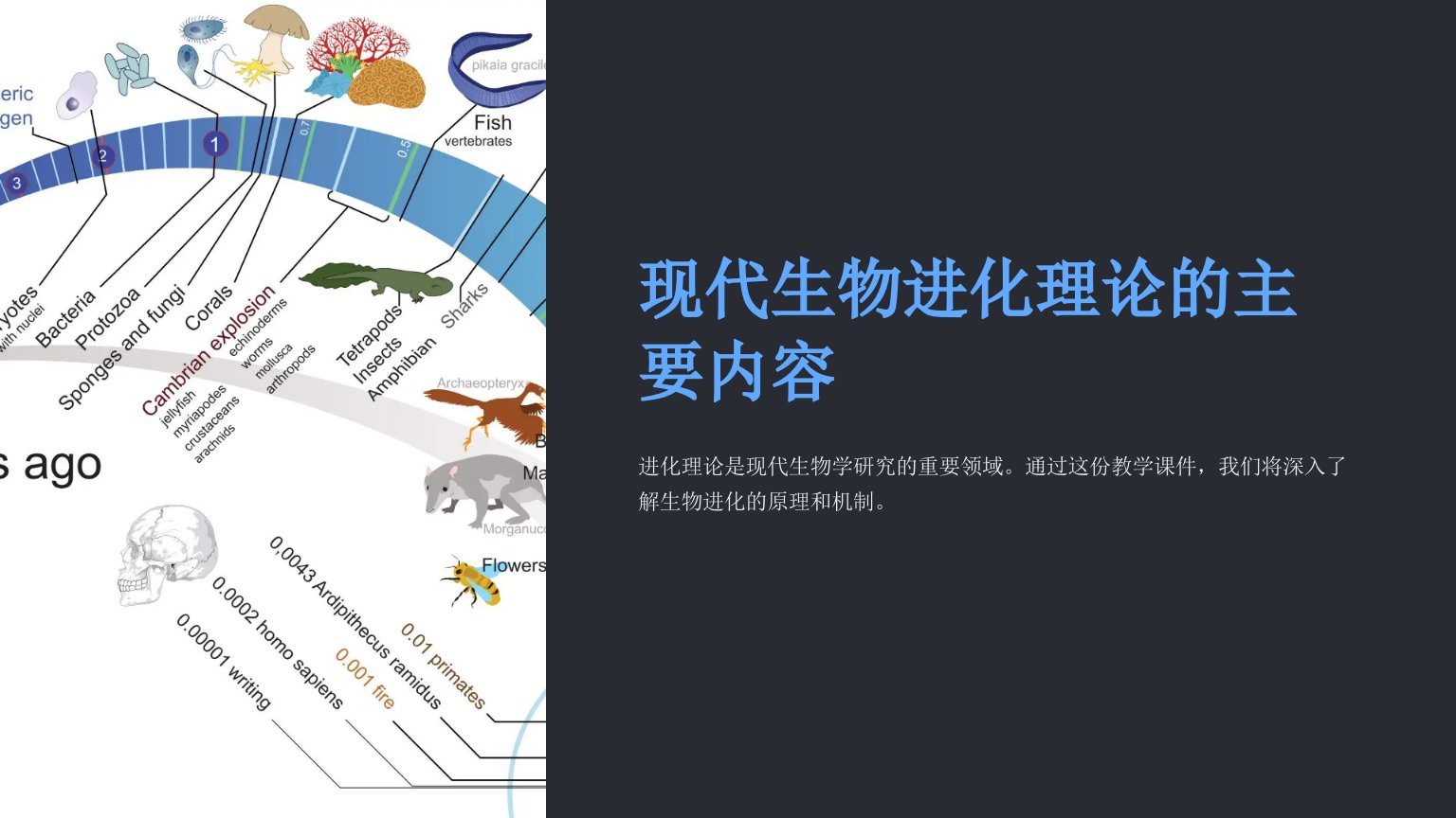 人教版教学课件现代生物进化理论的主要内容