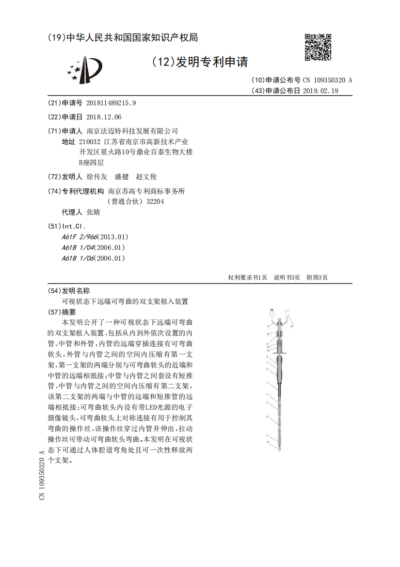 可视状态下远端可弯曲的双支架植入装置