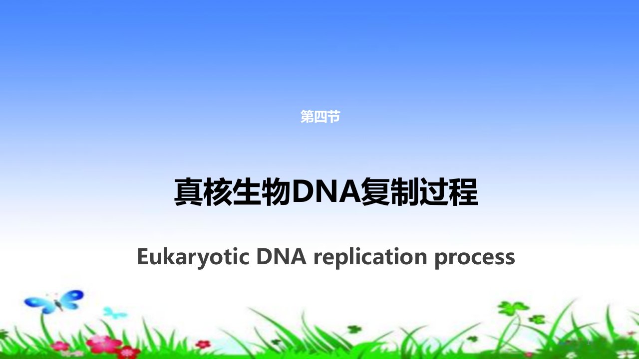 真核生物DNA复制过程ppt课件