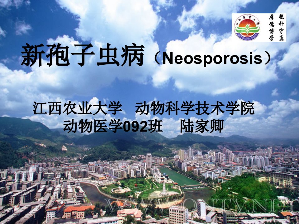 孢子虫病(Neosporosis)