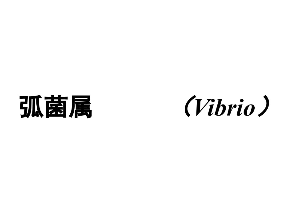 弧菌属Vibrio