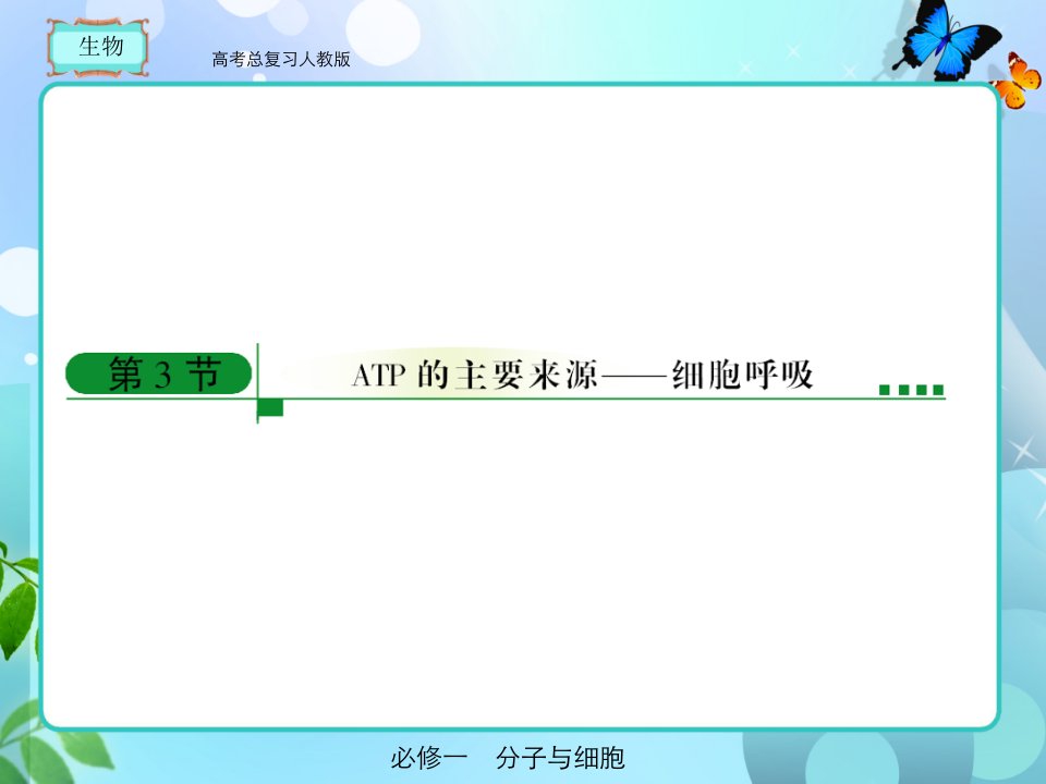 人教版高考总复习生物必修一53省名师优质课赛课获奖课件市赛课一等奖课件