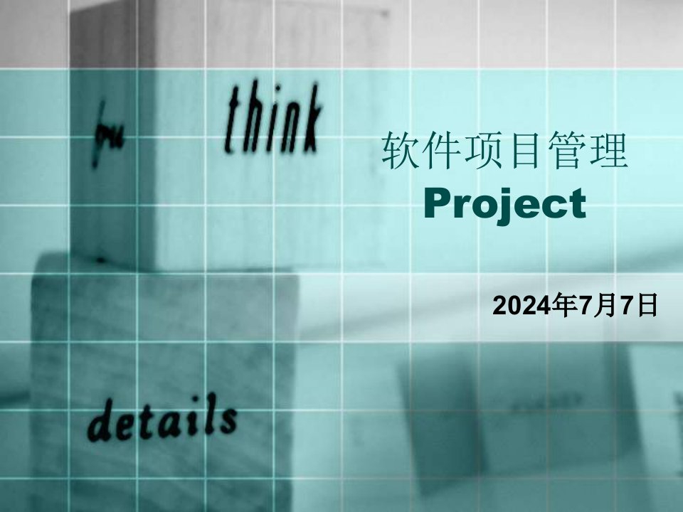 软件项目管理Project