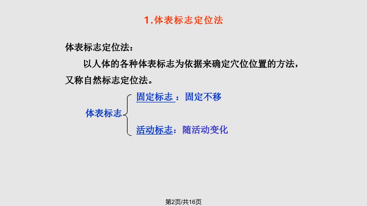 腧穴定位法学习