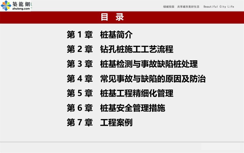 建筑工程桩基工程施工技术及常见事故缺陷防治166附图较多