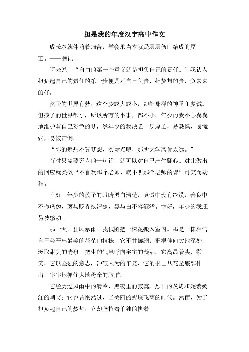 担是我的年度汉字高中作文