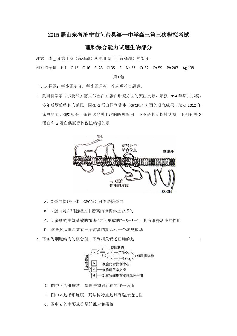 山东省济宁市鱼台县第一中学2015届高三第三次模拟考试理综试题