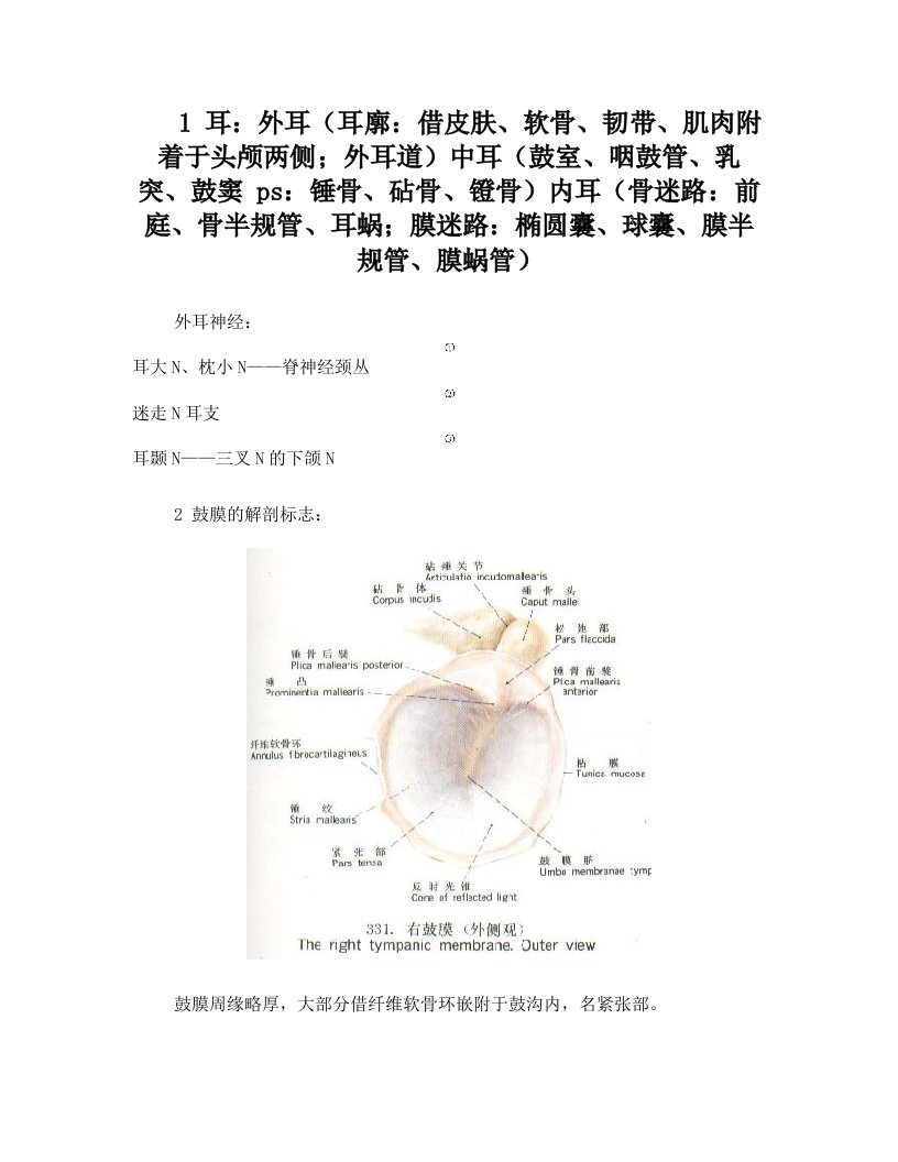 同济大学耳鼻喉重点-耳