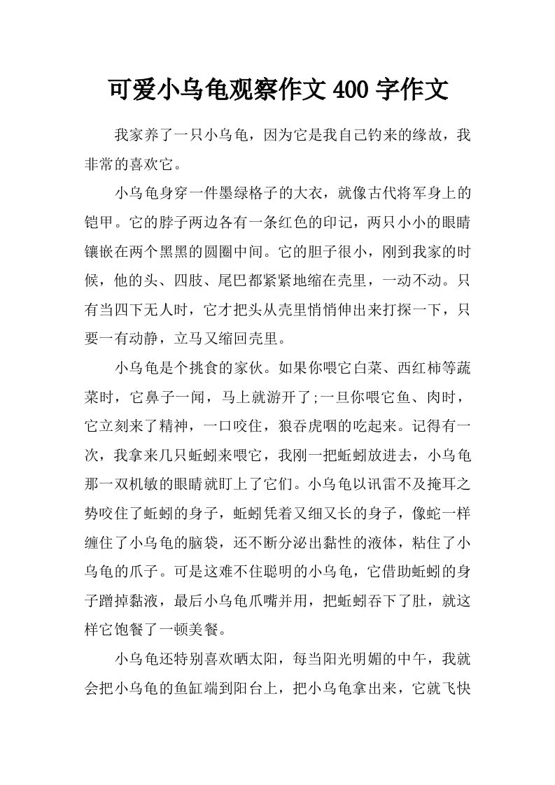 可爱小乌龟观察作文400字作文