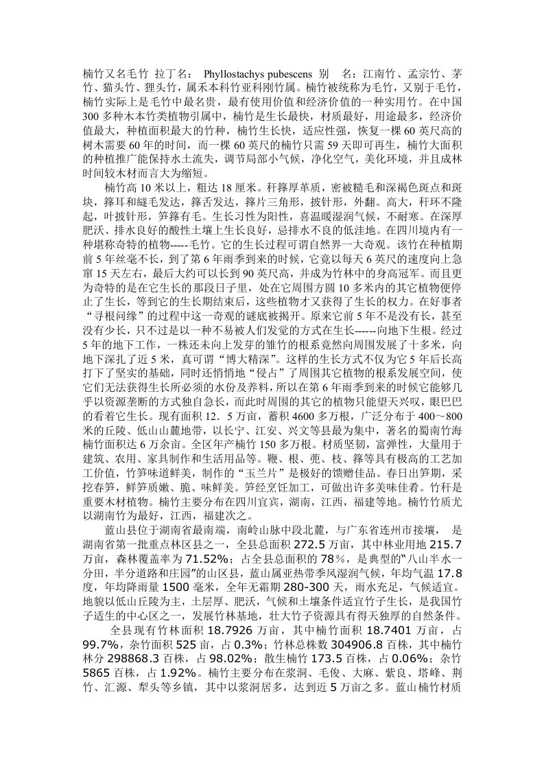 楠竹又名毛竹