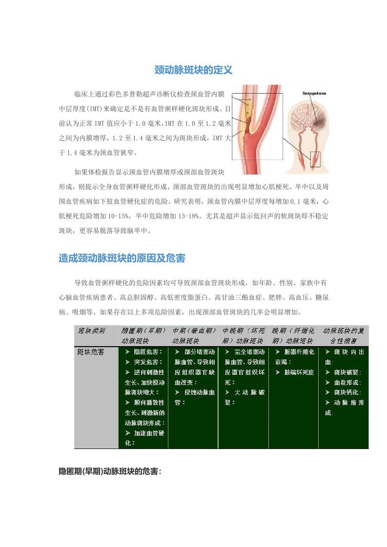 颈动脉斑块的定义