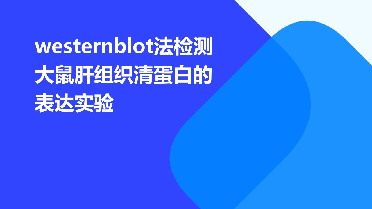 Westernblot法检测大鼠肝组织清蛋白的表达实验