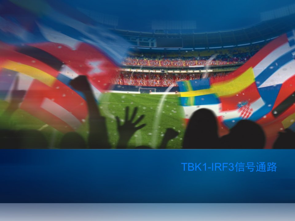 TBK1-IRF3信号通路