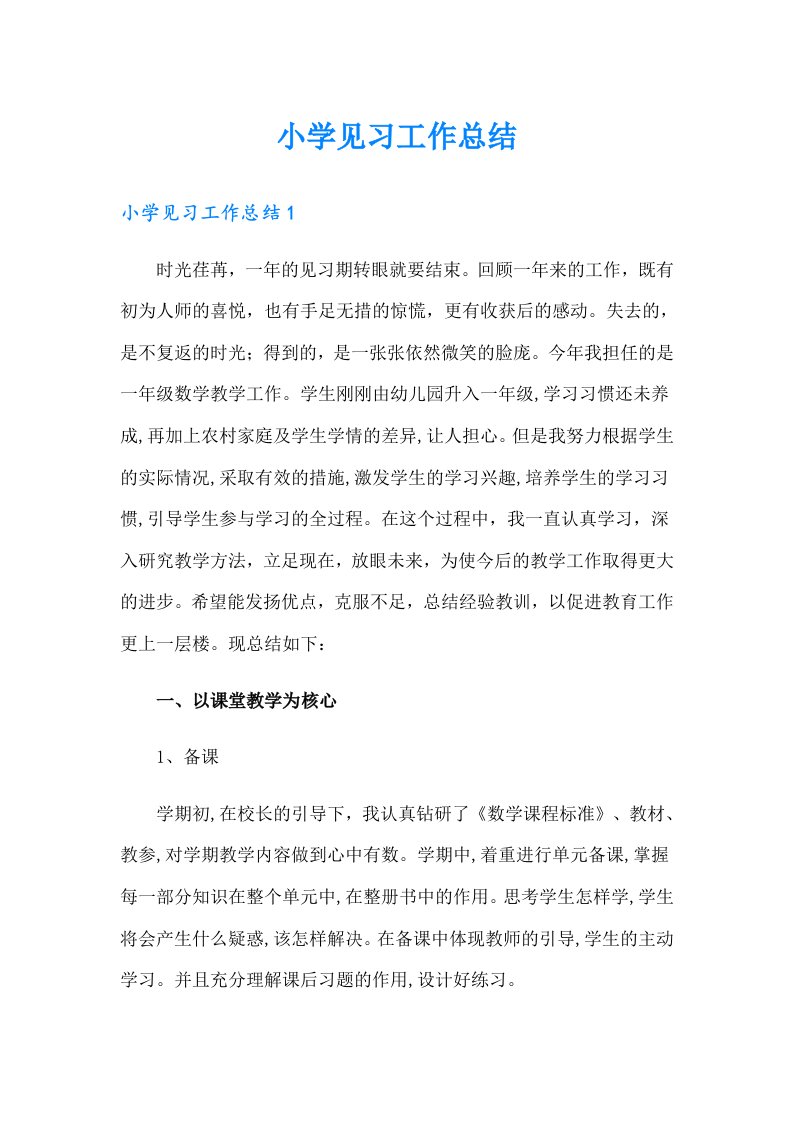 小学见习工作总结