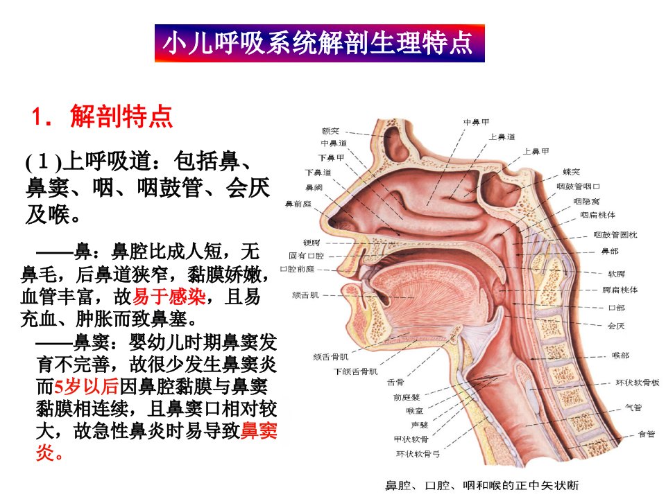 呼吸系统疾病