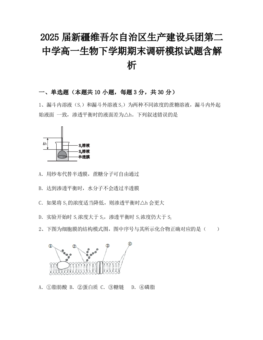 2025届新疆维吾尔自治区生产建设兵团第二中学高一生物下学期期末调研模拟试题含解析