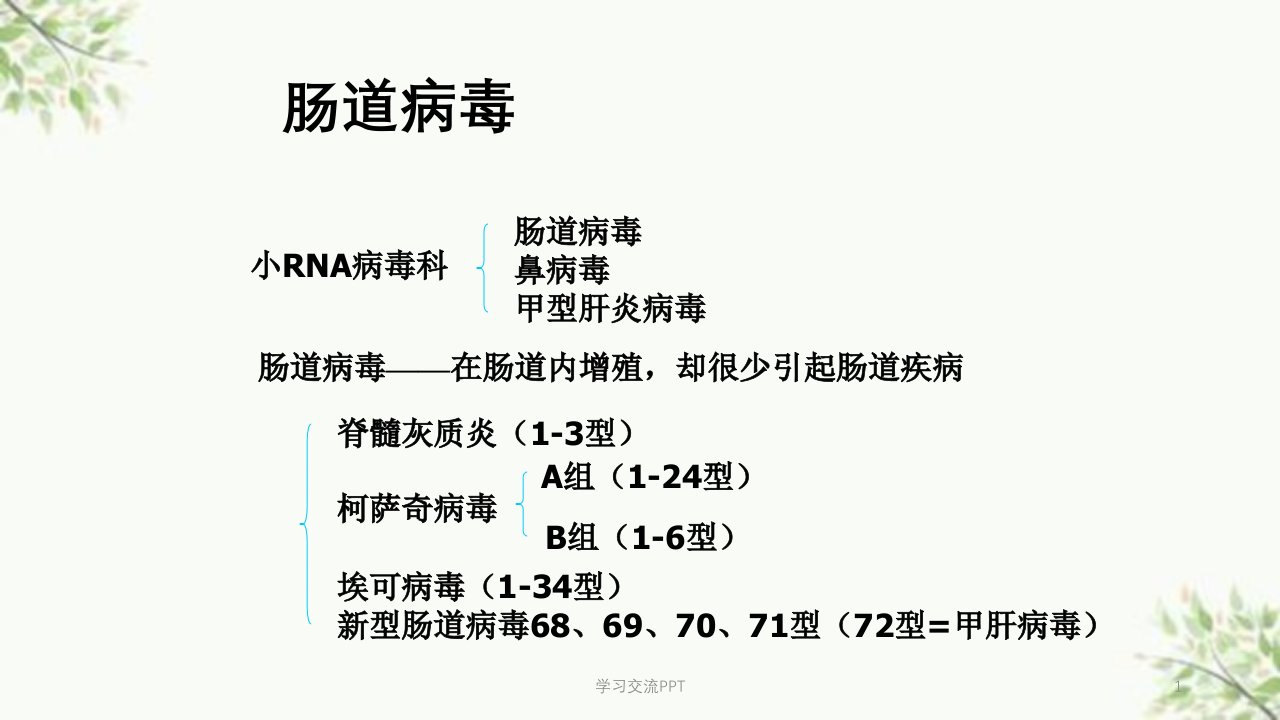 肠道病毒医学PPT课件