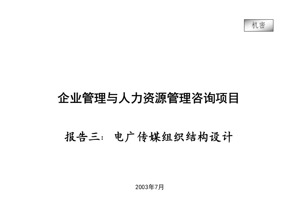 企业管理与人力资源管理咨询项目——电广传媒（PPT55页）