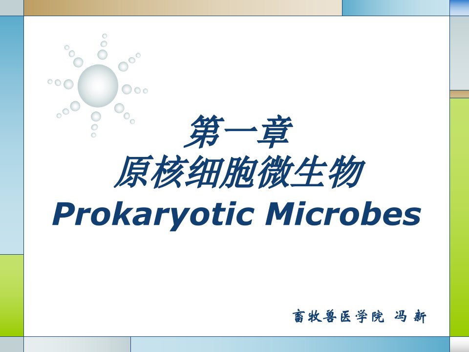 畜牧微生物学第一章原核细胞微生物