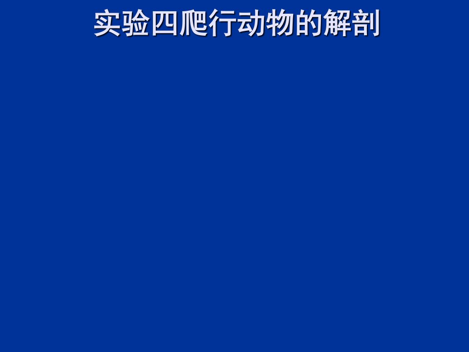 实验四爬行动物解剖