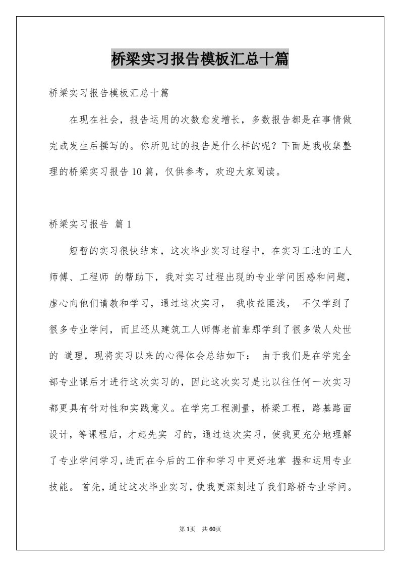 桥梁实习报告模板汇总十篇