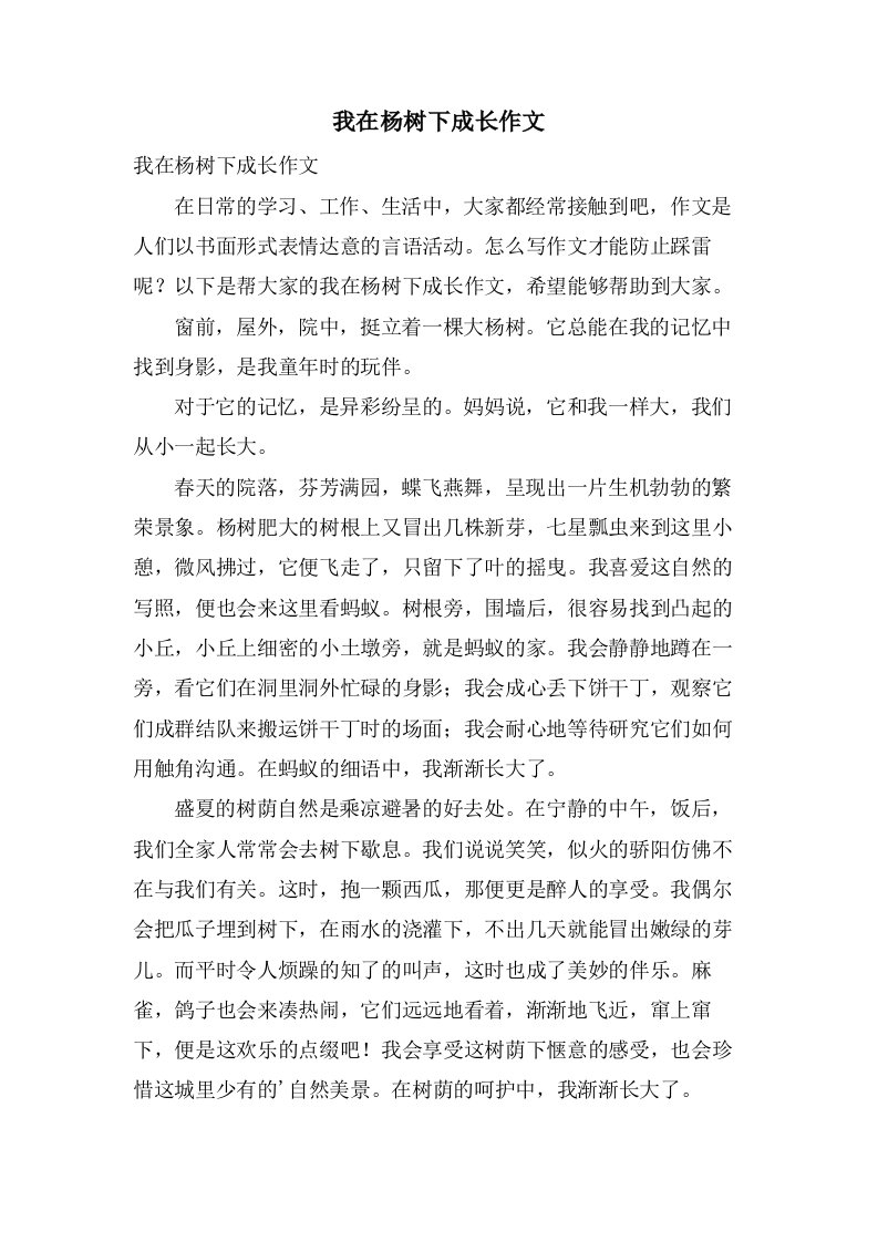 我在杨树下成长作文