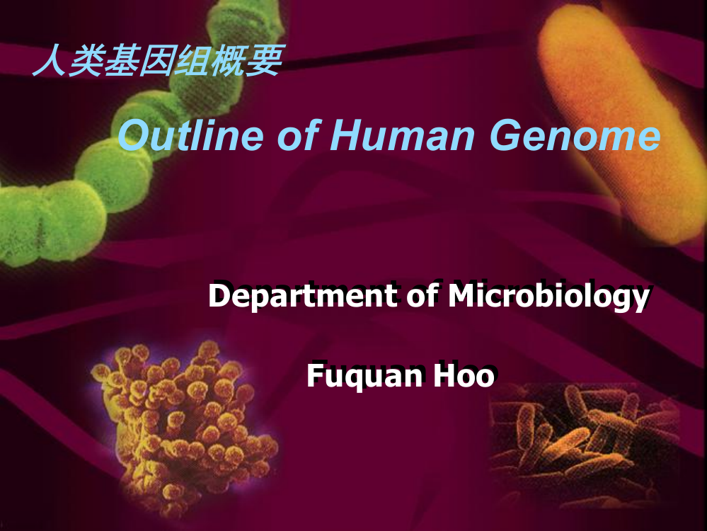 人类基因组概况ppt课件