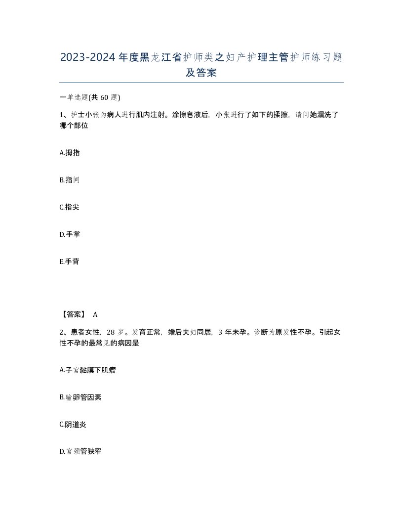 2023-2024年度黑龙江省护师类之妇产护理主管护师练习题及答案