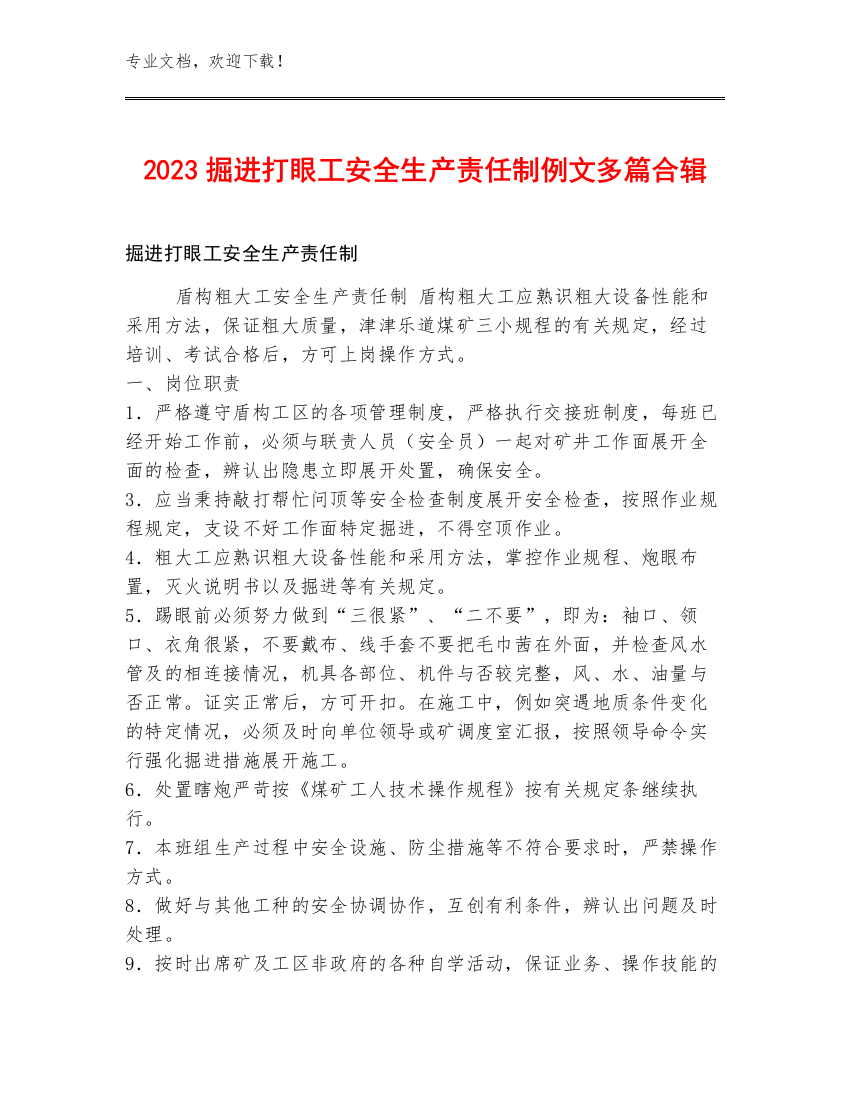 2023掘进打眼工安全生产责任制例文多篇合辑