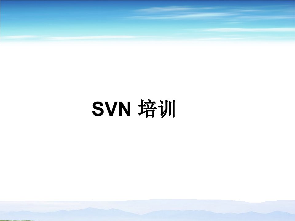 SVN培训