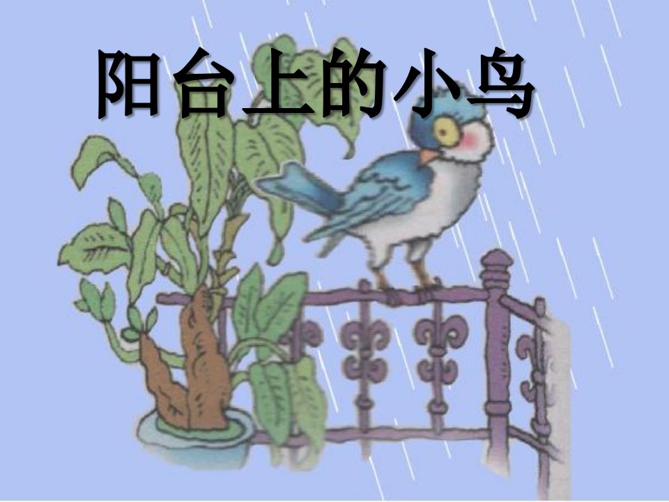 《阳台上的小鸟》PPT课件