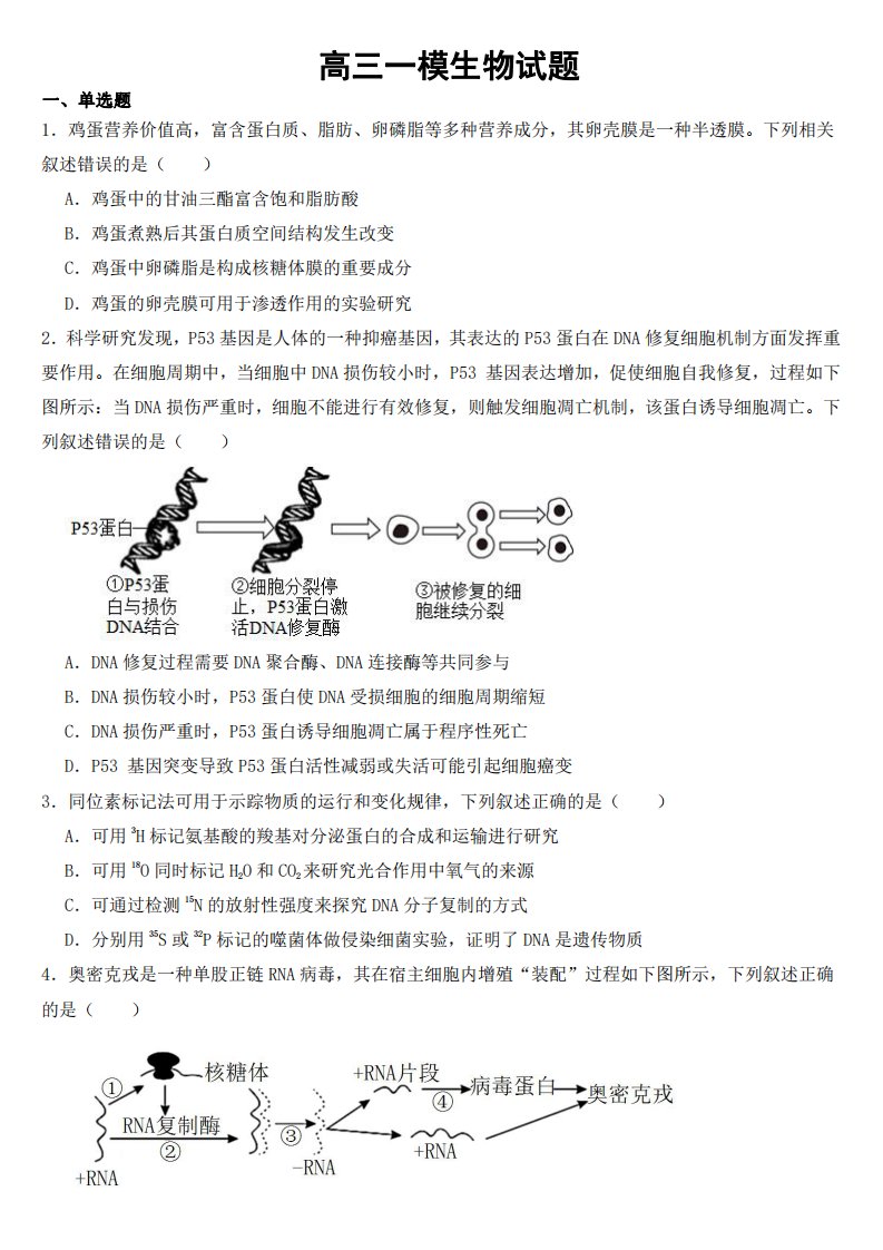 辽宁省沈阳市高三一模生物试题【附参考答案】