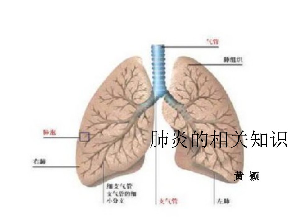 肺炎的相关知识