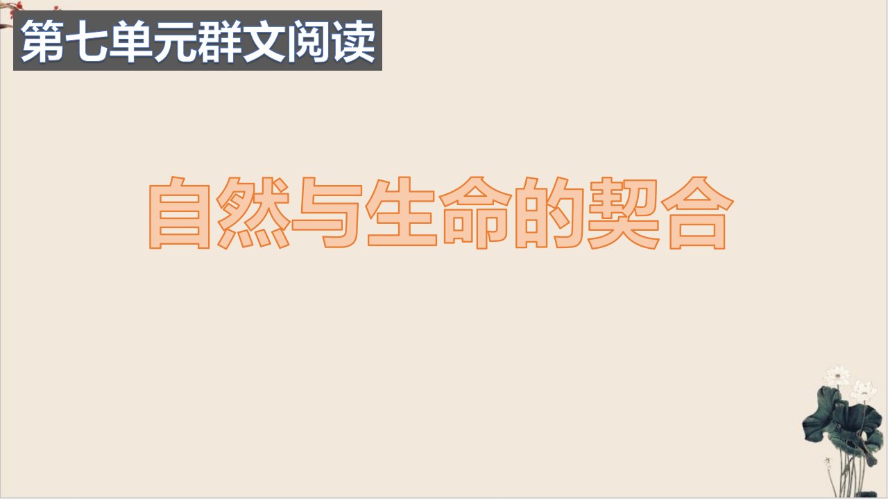 统编版高中语文必修上册第七单元群文阅读教学《自然与生命的契合》ppt课件