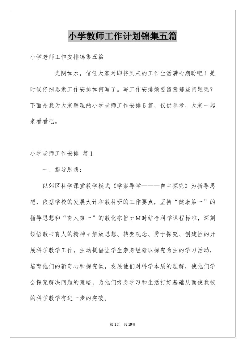 小学教师工作计划锦集五篇范本