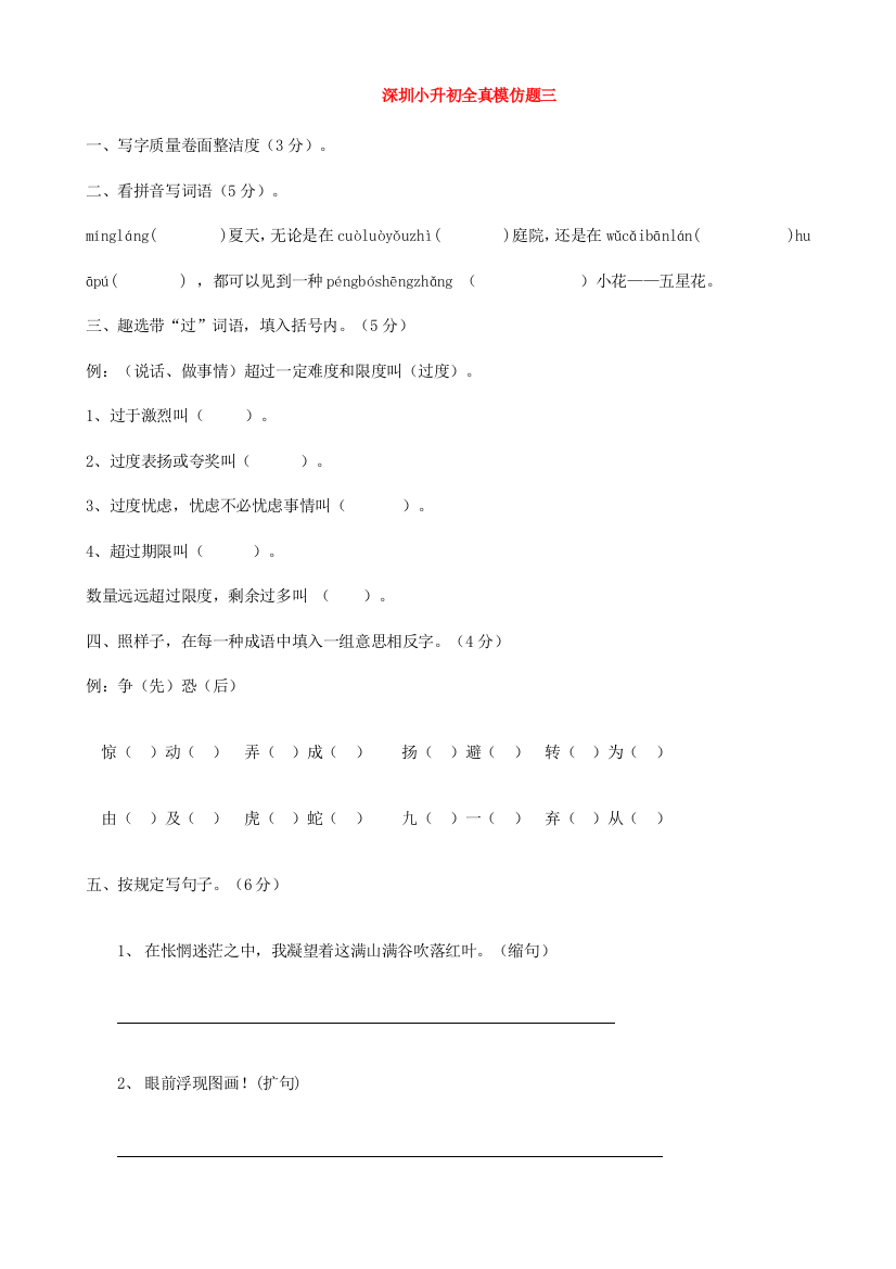 2021年广东省深圳市小升初语文全真模拟题三