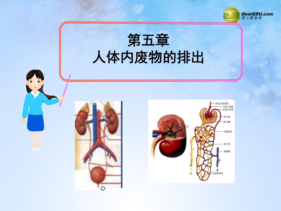 生物下册第五章人体内废物的排出