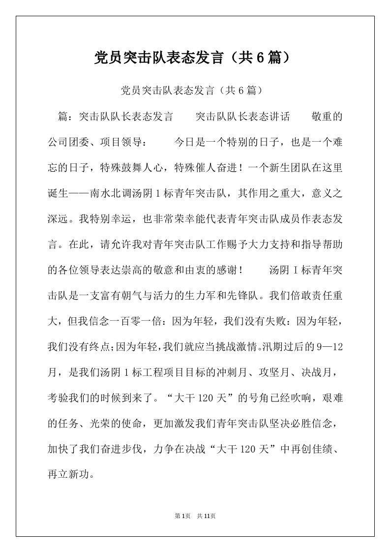 党员突击队表态发言（共6篇）