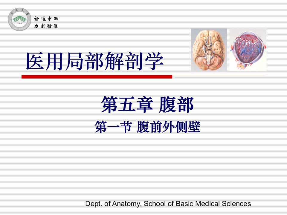 医用局部解剖学-腹前外侧壁