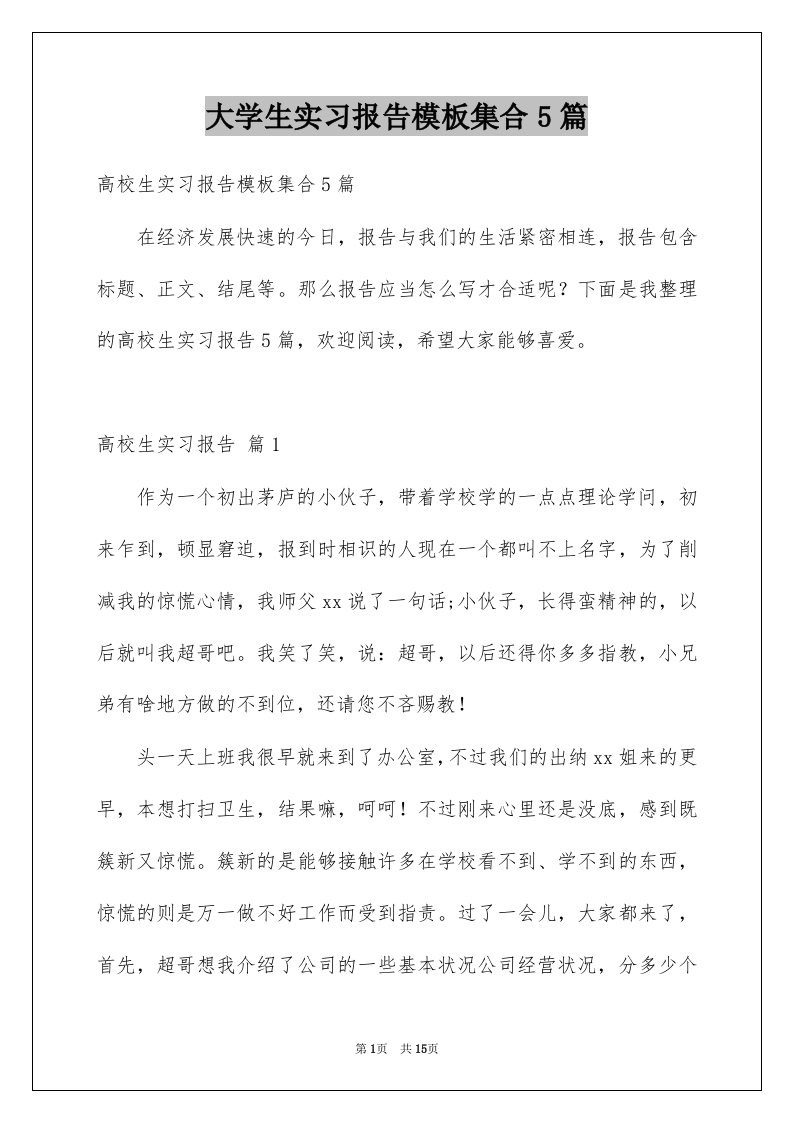 大学生实习报告模板集合5篇汇总