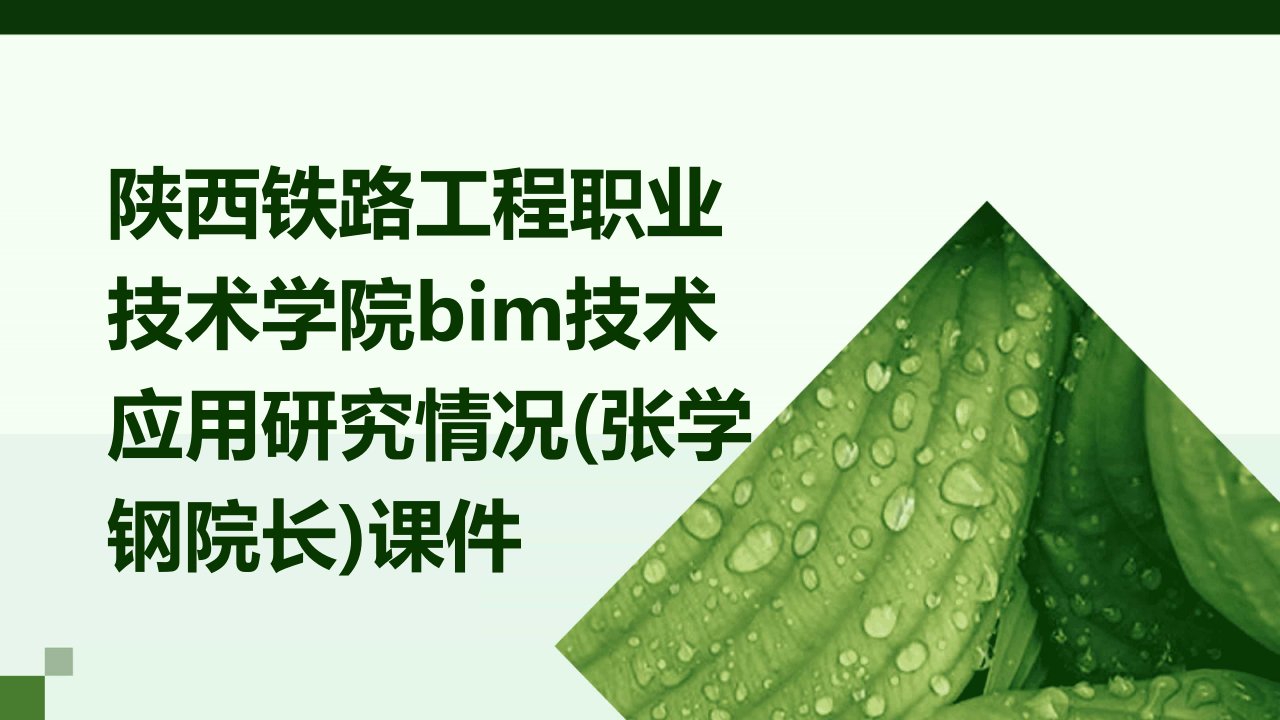 陕西铁路工程职业技术学院BIM技术应用研究情况(张学钢院长)课件