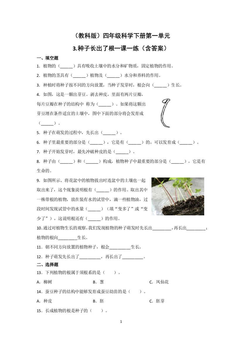 四年级科学下册试题--第一单元3.种子长出了根一课一练(教科版)(含答案)