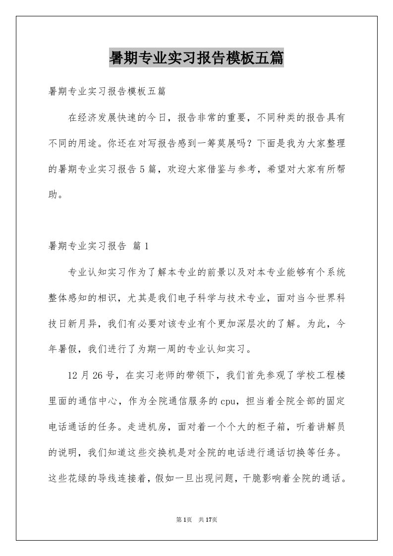 暑期专业实习报告模板五篇