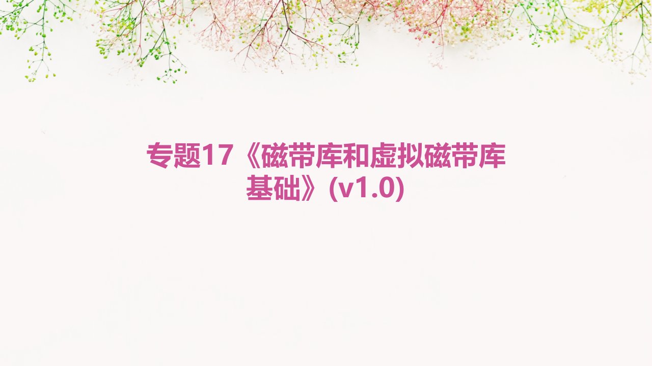 专题17《磁带库和虚拟磁带库基础》(V1.0)