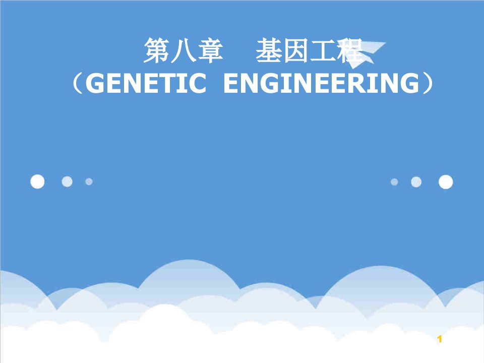 建筑工程管理-8第八章基因工程12