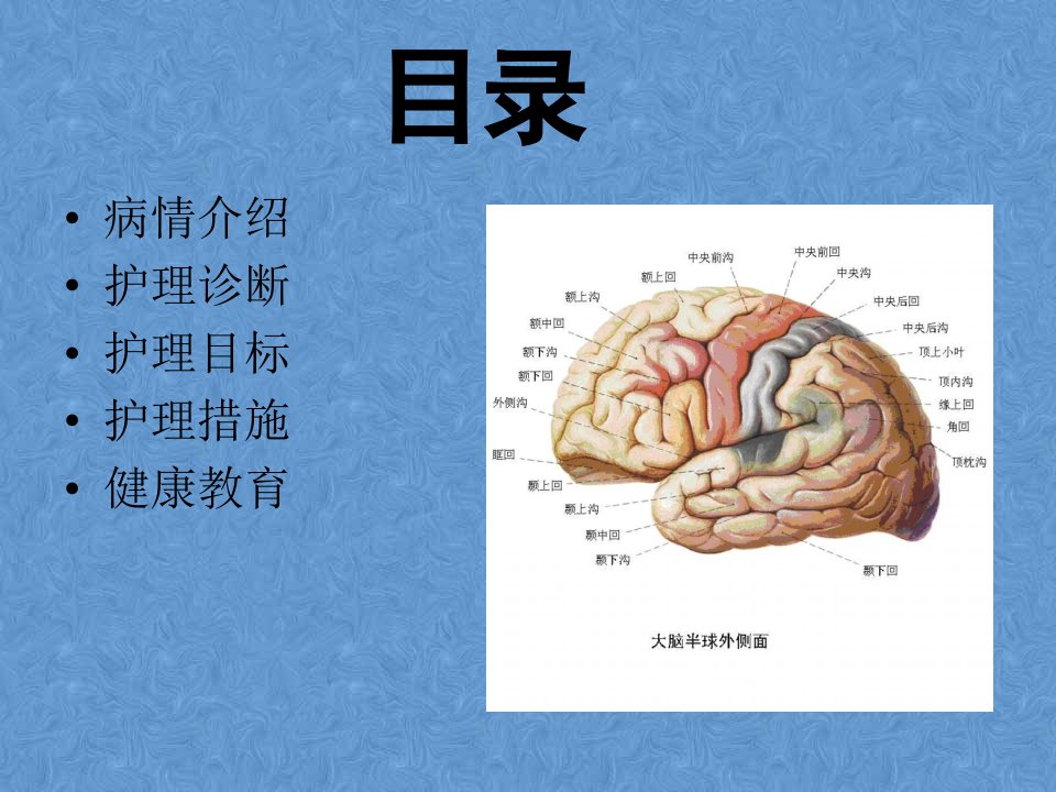 硬膜下血肿合并肋骨骨折的护理