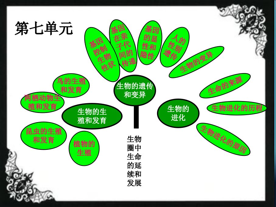 八年级生物下册总复习市公开课一等奖市赛课获奖课件